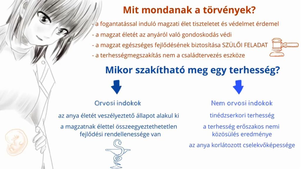 A törvény védi a magzat életét és meghatározza, hogy a terhességet milyen indokokkal lehet megszakítani.