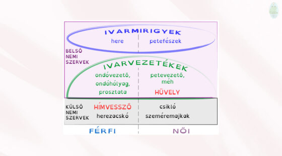 Külső, belső – király, ász?